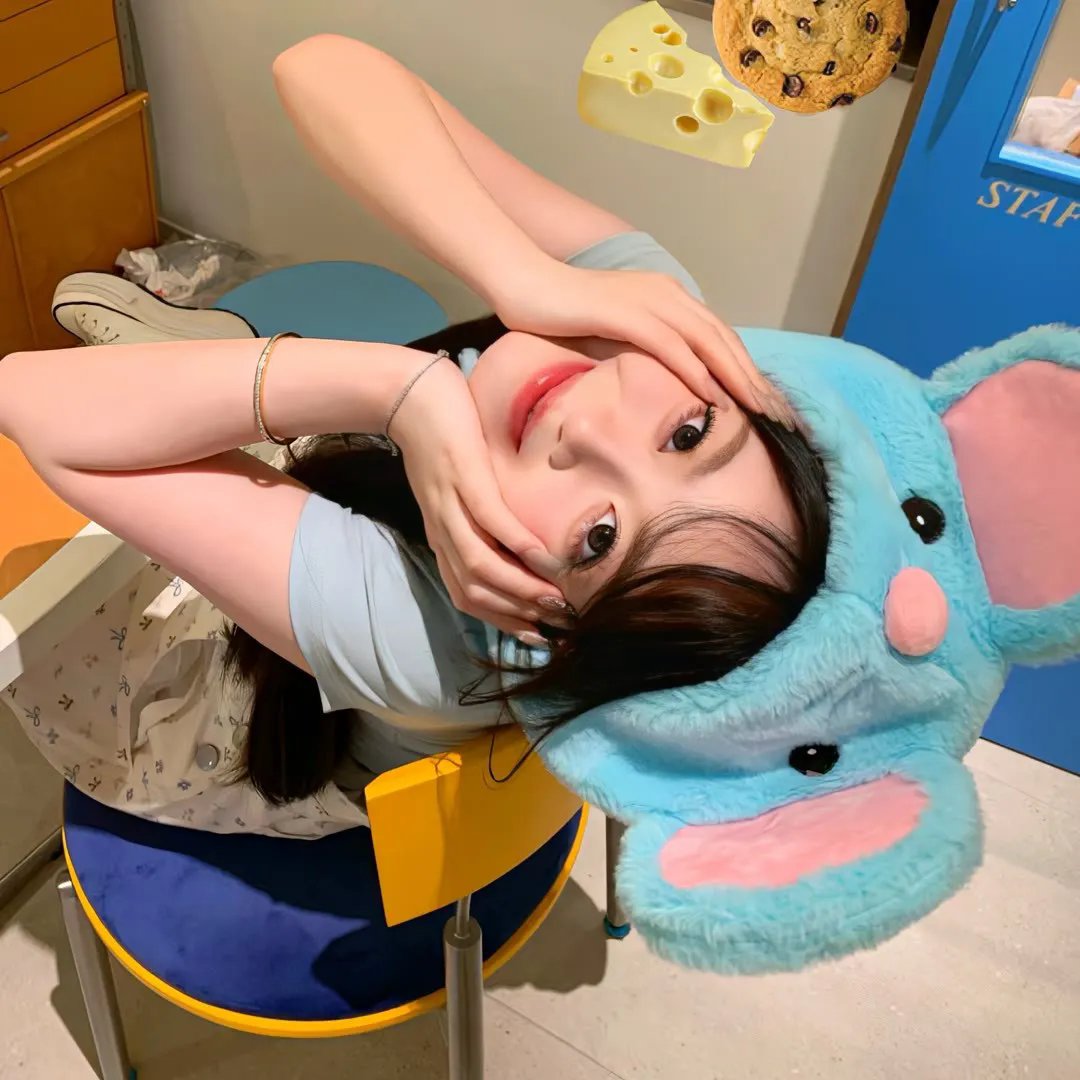猪猪侠